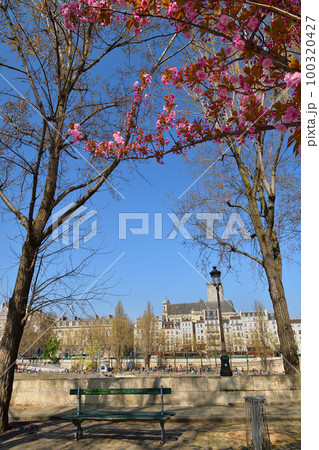 フランス、パリ。サン・ルイ島に咲く桜。2022年3月27日撮影。 フランス、パリ。サン・ルイ島に咲く桜。2022年3月27日撮影。 100320427
