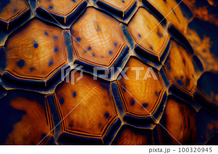 Turtle Shell Texture Background, Brontosaurus Dinosaur Skin, Generative AI Illustration 100320945