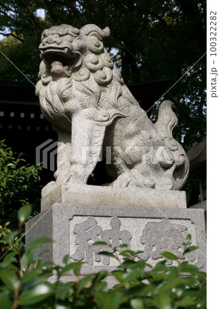 名古屋総鎮守 若宮八幡社 拝殿前阿形こま犬 名古屋総鎮守 若宮八幡社 拝殿前阿形こま犬 100322282