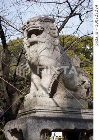 名古屋総鎮守 若宮八幡社 阿形こま犬 名古屋総鎮守 若宮八幡社 阿形こま犬 100322284