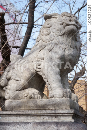 名古屋総鎮守　若宮八幡社　吽形こま犬 100322286