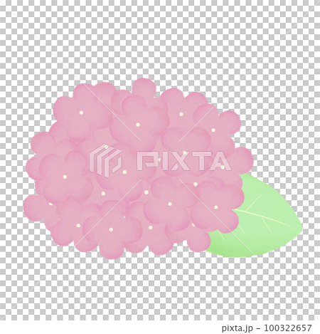 手描き風　紫陽花イラスト 100322657