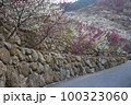 春 自然 観光 100323060
