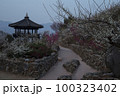 春 花 観光 100323402