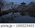 春 自然 観光 100323403