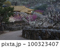 春 自然 観光 100323407