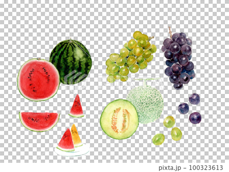 三種夏季水果水彩手繪插畫 三種夏季水果水彩手繪插畫 100323613