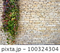 Creamy Beige Antique Brick Wall with Branch of Decorative Plant for background. 100324304
