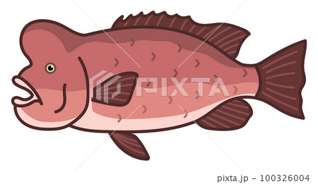 コブダイ 100326004