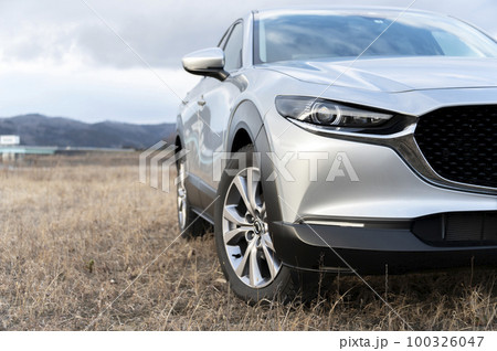 シルバーのクルマ 100326047