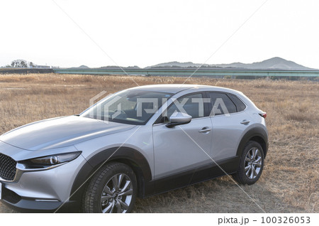 シルバーのクルマ シルバーのクルマ 100326053