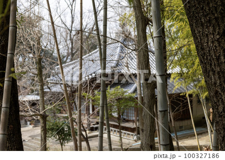 大阪・豊中の観音寺（2023年3月5日撮影） 100327186