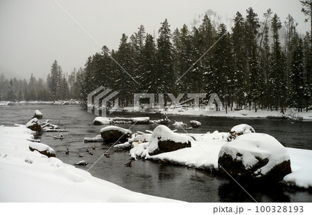 Yellowstone Winter Snow Madison River Yellowstone Winter Snow Madison River 100328193