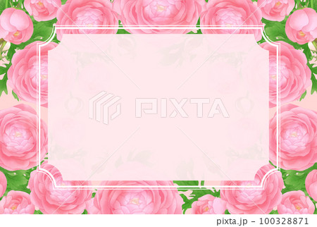 ピンクのラナンキュラスの春フレーム 100328871