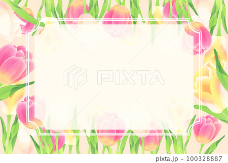 ピンクと黄色と白のチューリップの春フレーム ピンクと黄色と白のチューリップの春フレーム 100328887