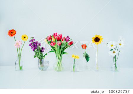 Variation of different flowers in glass vases on white table. Colorful flower arrangement or decoration in rainbow colors. Floristy, making bouquets. Flowers delivery. Selective focus. Copy space. 100329757
