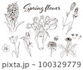 春の花いろいろ_手描きイラストセット01 100329779