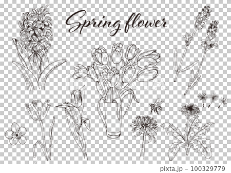 Various spring flowers _ hand drawn illustration set 01 Various spring flowers _ hand drawn illustration set 01 100329779