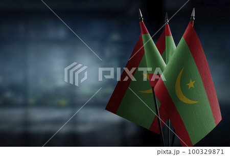 Small flags of the Mauritania on an abstract blurry background Small flags of the Mauritania on an abstract blurry background 100329871