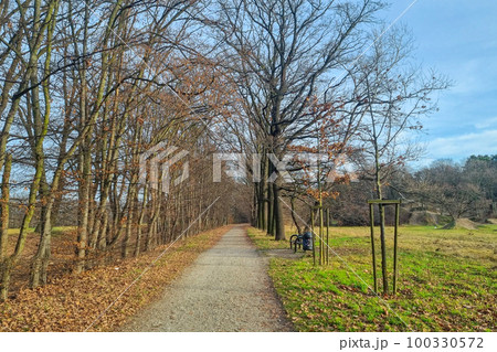 View of the empty trail on a sunny spring day. 100330572