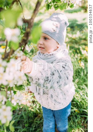 A little girl in nature admires the white flowering of spring trees A little girl in nature admires the white flowering of spring trees 100334637