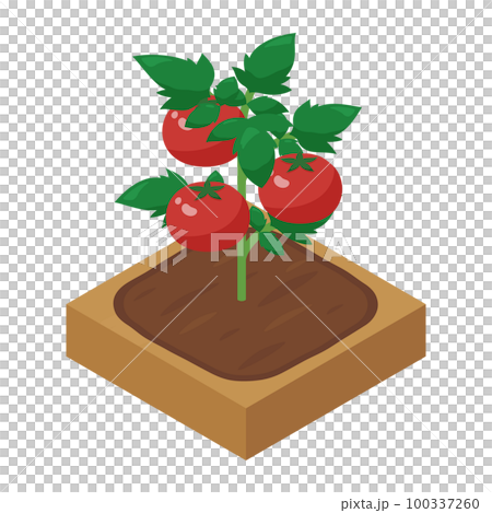 農場遊戲 illustration_tomato_isometric 100337260