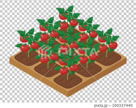 農場遊戲 illustration_tomato_isometric 100337440