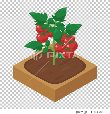 農場遊戲插圖_迷你番茄_等距 100338890