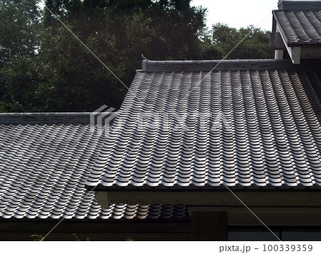 豊田市民芸館の瓦屋根 100339359