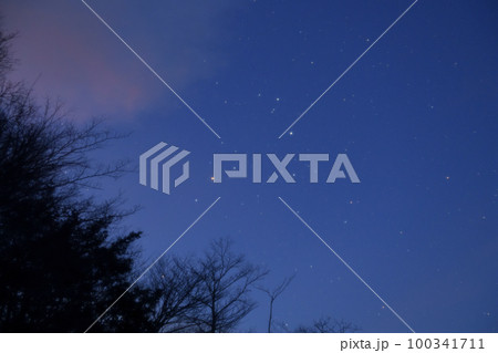 北杜市小淵沢町、雑木林の上、白み始めた空、朝焼け雲にさそり座輝く 100341711