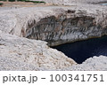 クロアチア　ザダル　島　コルナティ 100341751