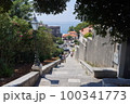 ドゥブロブニク　クロアチア　観光 100341773