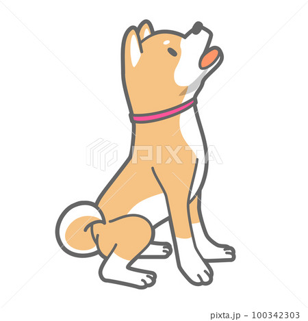 遠吠えする柴犬のベクターイラスト 100342303