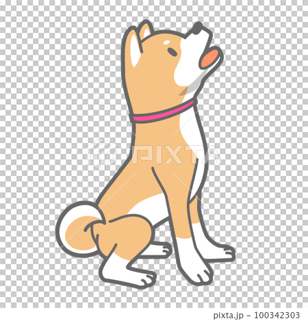 遠吠えする柴犬のベクターイラスト 100342303