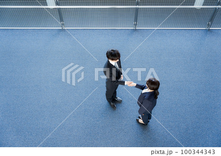 握手をするビジネスパーソン 100344343