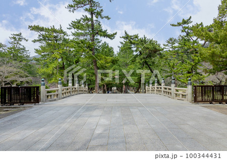 出雲大社 祓端 参道 出雲大社 祓端 参道 100344431