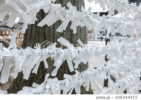 出雲大社　おみくじ 100344455