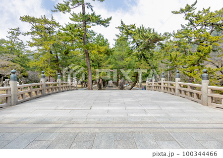 出雲大社 祓端 参道 出雲大社 祓端 参道 100344466
