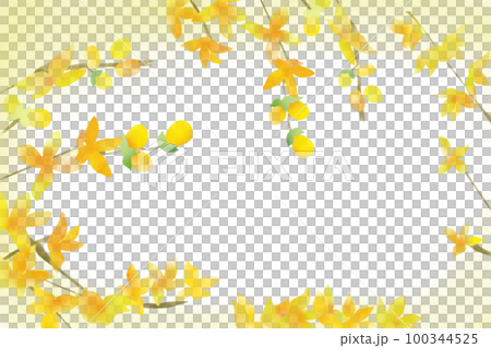 連翹（レンギョウ）花カード 100344525