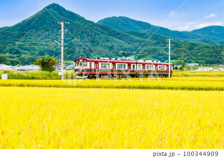 上田電鉄　黄金色の稲穂の中を走る電車 100344909