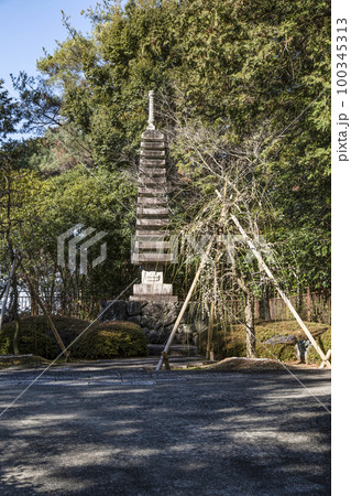 明星山三室戸寺　梅園入口の十三重塔（2月末） 100345313