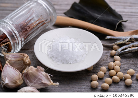 塩　岩塩　スパイス　調味料 100345590