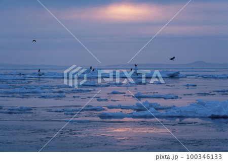 流氷 流氷 100346133