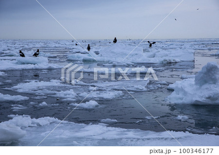 流氷 流氷 100346177