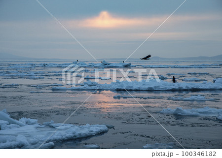 流氷 流氷 100346182