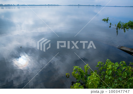 渡良瀬遊水地 谷中湖 思い出橋付近 初夏の風景 渡良瀬遊水地 谷中湖 思い出橋付近 初夏の風景 100347747
