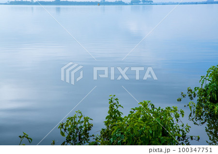 渡良瀬遊水地 谷中湖 思い出橋付近 初夏の風景 渡良瀬遊水地 谷中湖 思い出橋付近 初夏の風景 100347751