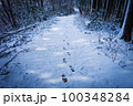 冬山の山道　謎の足あと 100348284