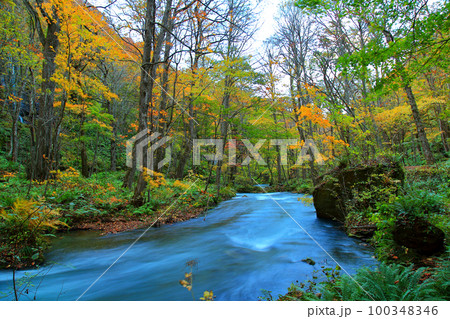 奥入瀬渓流 100348346