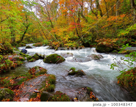 奥入瀬渓流 100348347